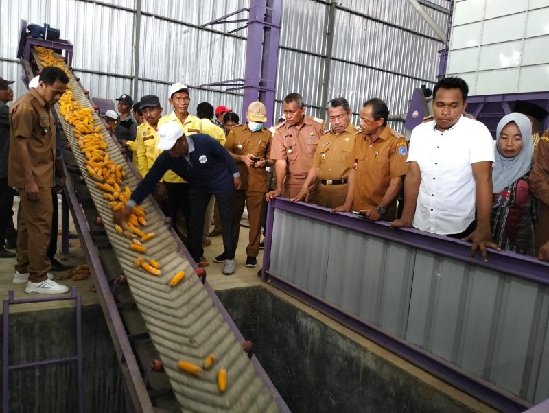 Plt Bupati Muna, Drs H Bachrun saat meninjau proses pengolahan jagung di Pabrik Jagung Desa Bea Kecamatan Kabawo
