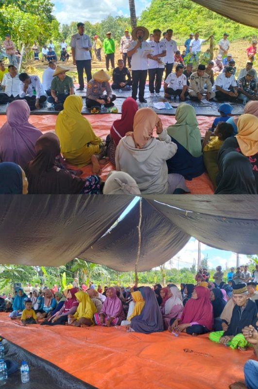 Ketgam : Bupati Muna Barat, La Ode Darwin saat diskusi tatap muka bersama kaum tani di wilayah Lawa Raya, Rabu (16/4). Foto : Redaksi