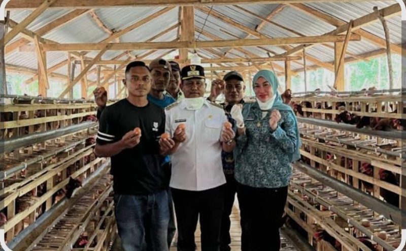 Ketgam: Bupati Muna Barat, La Ode Darwin saat meninjau peternakan telur di Kabupaten Muna Barat, beberapa waktu lalu