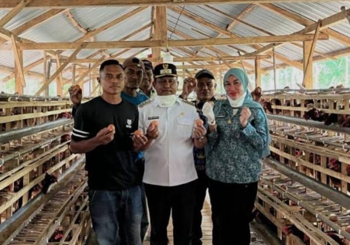 Ketgam: Bupati Muna Barat, La Ode Darwin saat meninjau peternakan telur di Kabupaten Muna Barat, beberapa waktu lalu